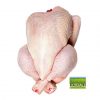 whole chicken lilydale free range cairns
